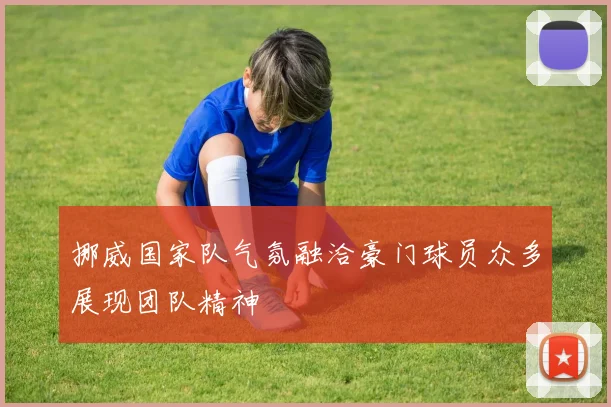 挪威国家队气氛融洽豪门球员众多展现团队精神