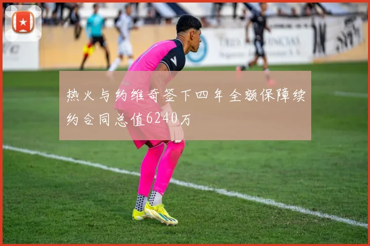 热火与约维奇签下四年全额保障续约合同总值6240万
