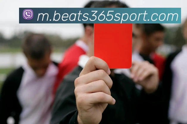 beats365体育平台生态图