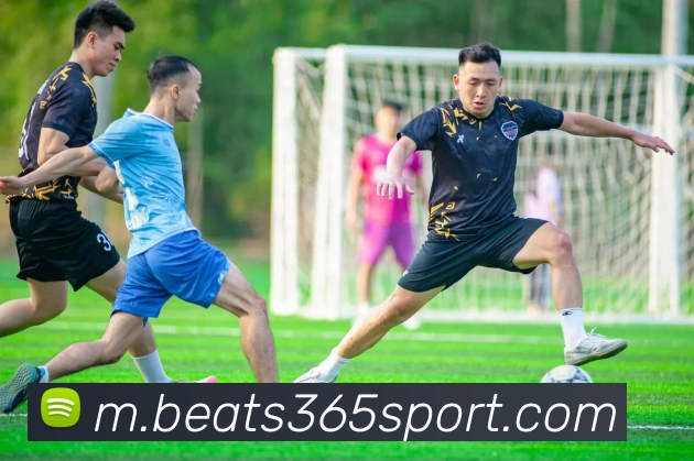 beats365体育APP 封面图